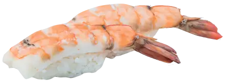 Camarón Nigiri
